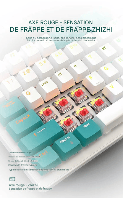 Clavier Wolf - 3 design